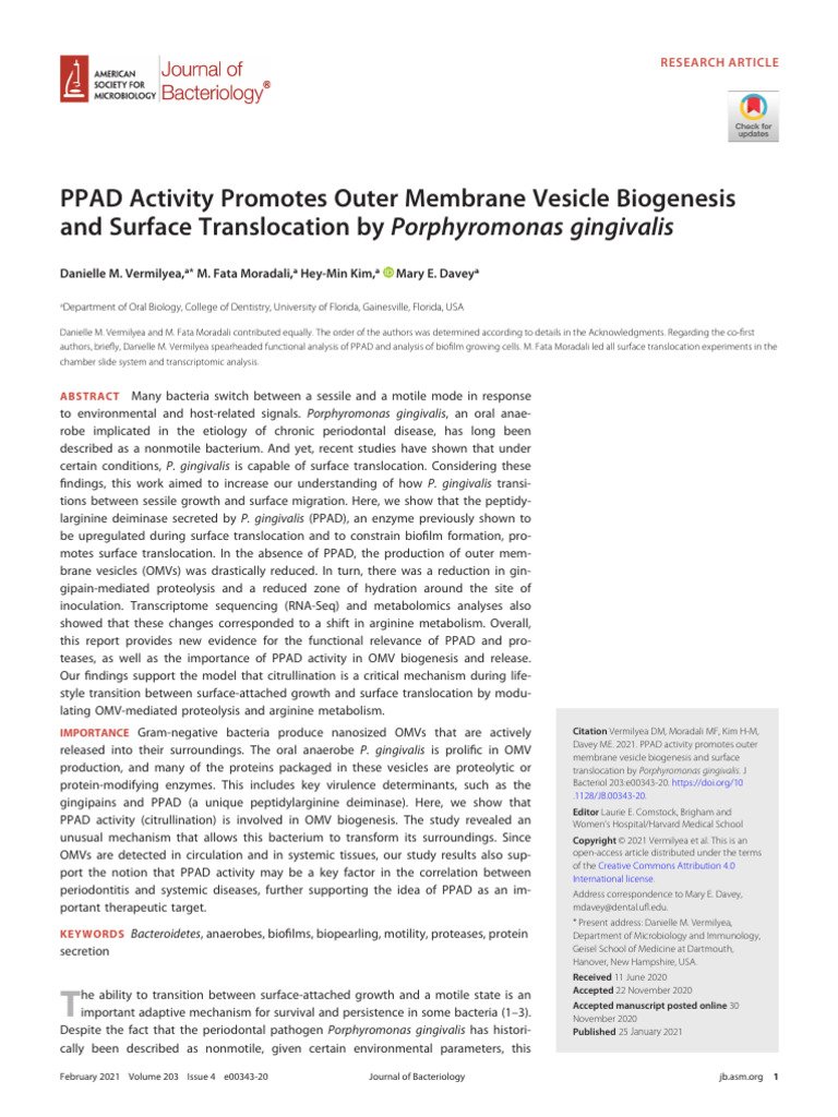 PPAD Enhances OMV Production in P. gingivalis | PDF | Arginine | Secretion