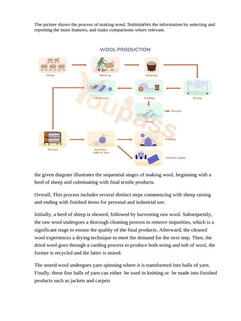 Wool Production Process Explained | PDF