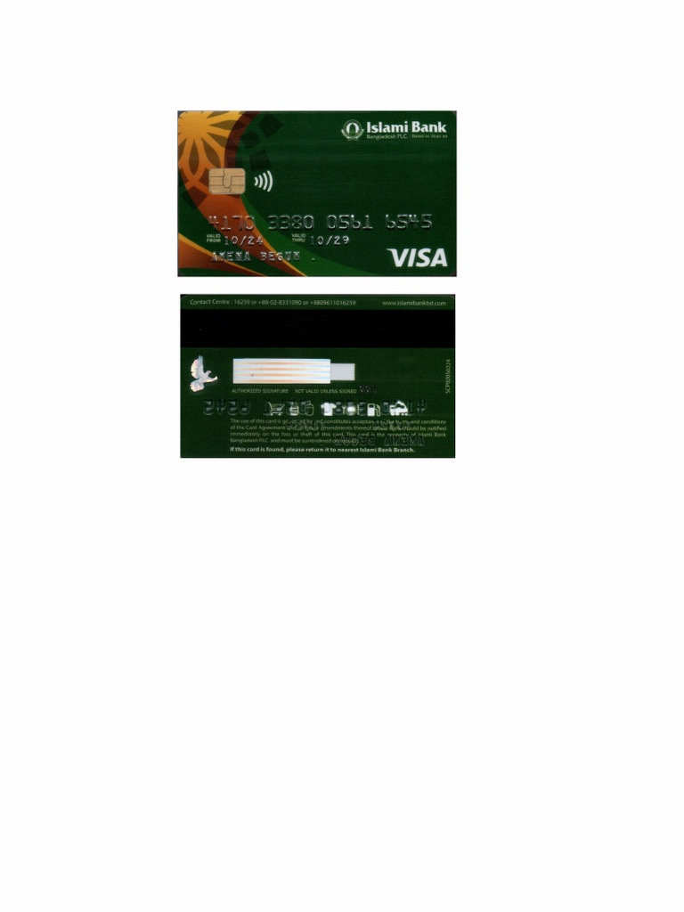 Visa Card | PDF