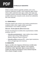 imiphumela-yokusebenzisa-izidakamizwa-pdf