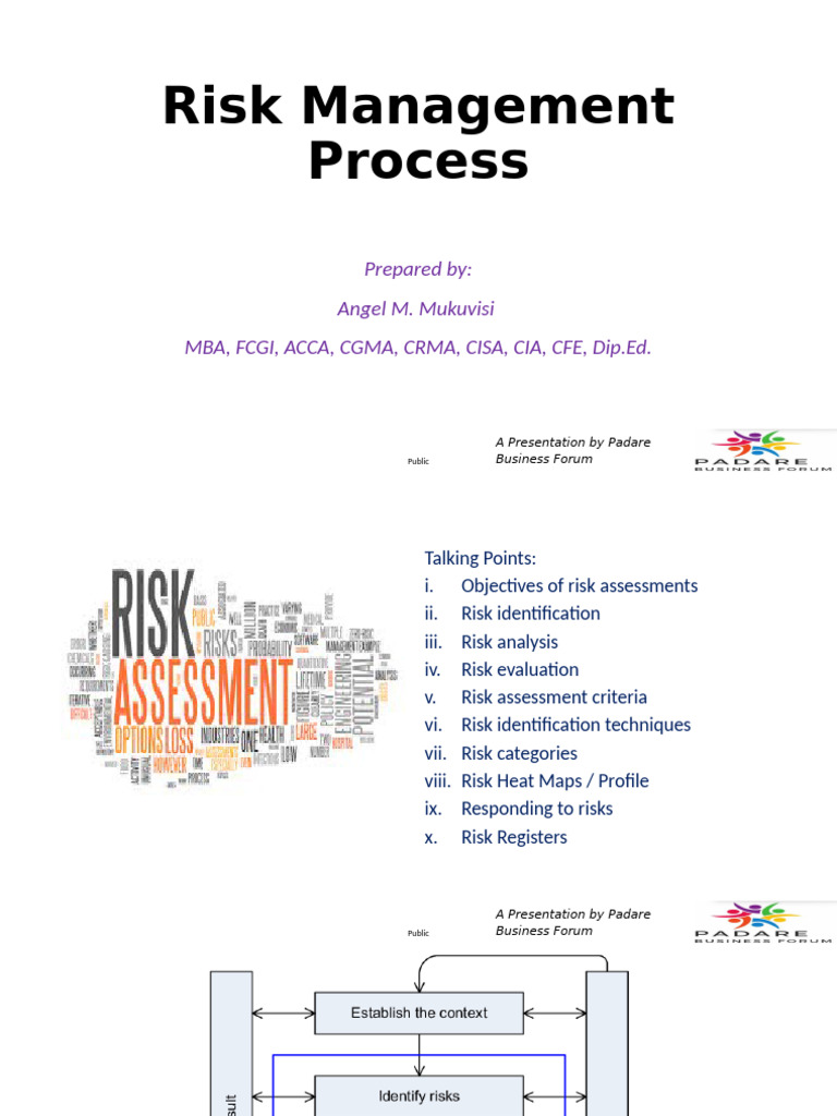 Public Risk Management Process Overview | PDF | Risk | Risk Assessment