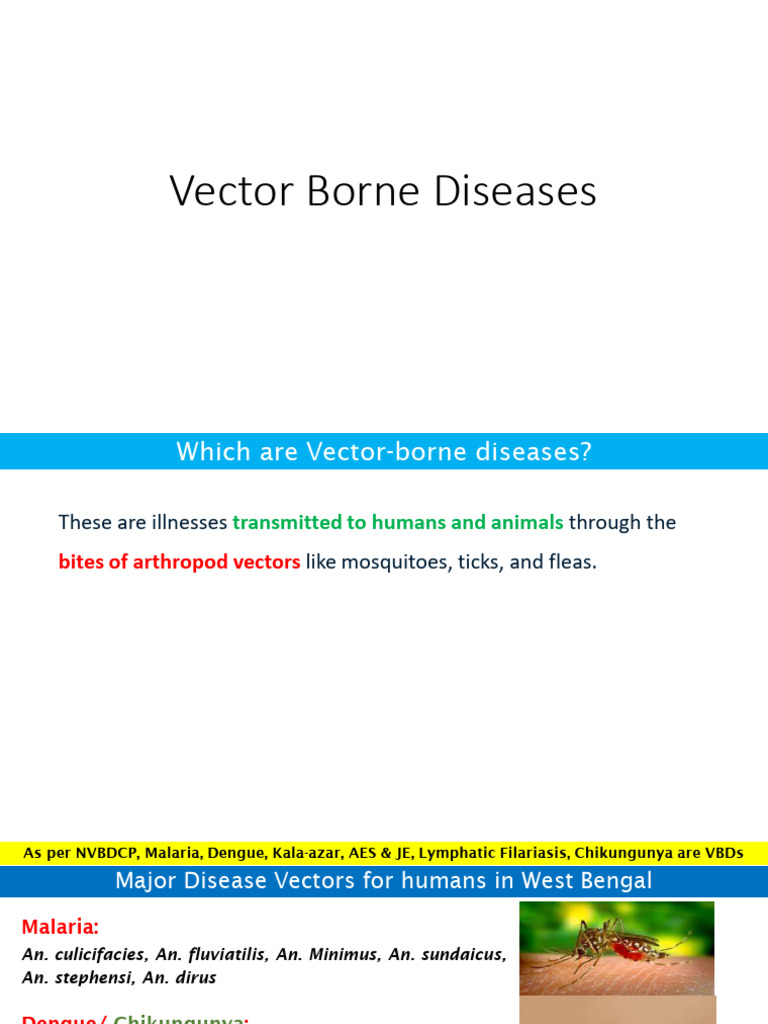 Vector Born Diseases Introduction | PDF | Mosquito | Human Diseases And ...
