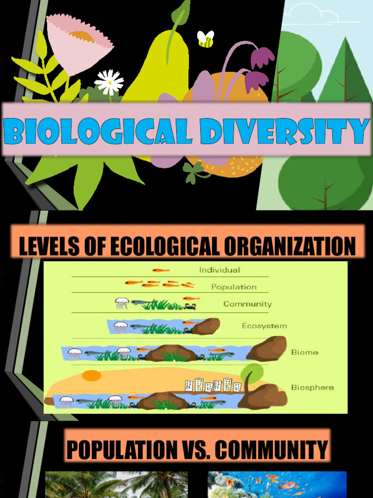 Understanding Biodiversity and Ecosystems | PDF | Biodiversity | Species