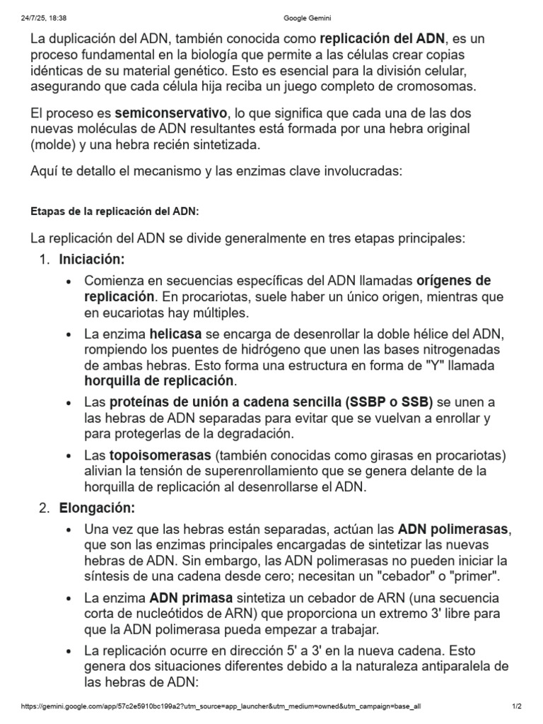 Proceso de replicación del ADN explicado | PDF | Replicación De Adn | Adn