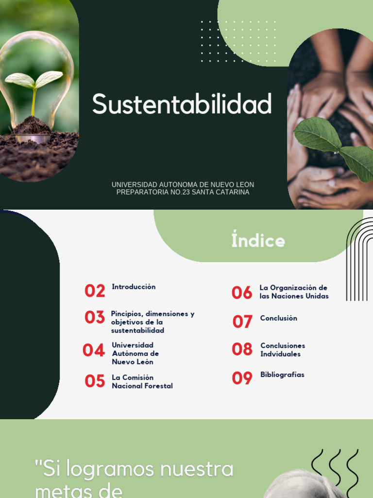 Principios y Dimensiones de la Sustentabilidad | PDF | Sustentabilidad ...