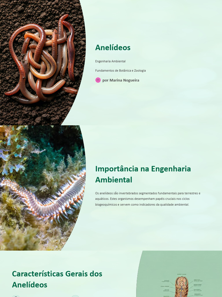Importância Ecológica dos Anelídeos | PDF | Ambiente natural | Solo