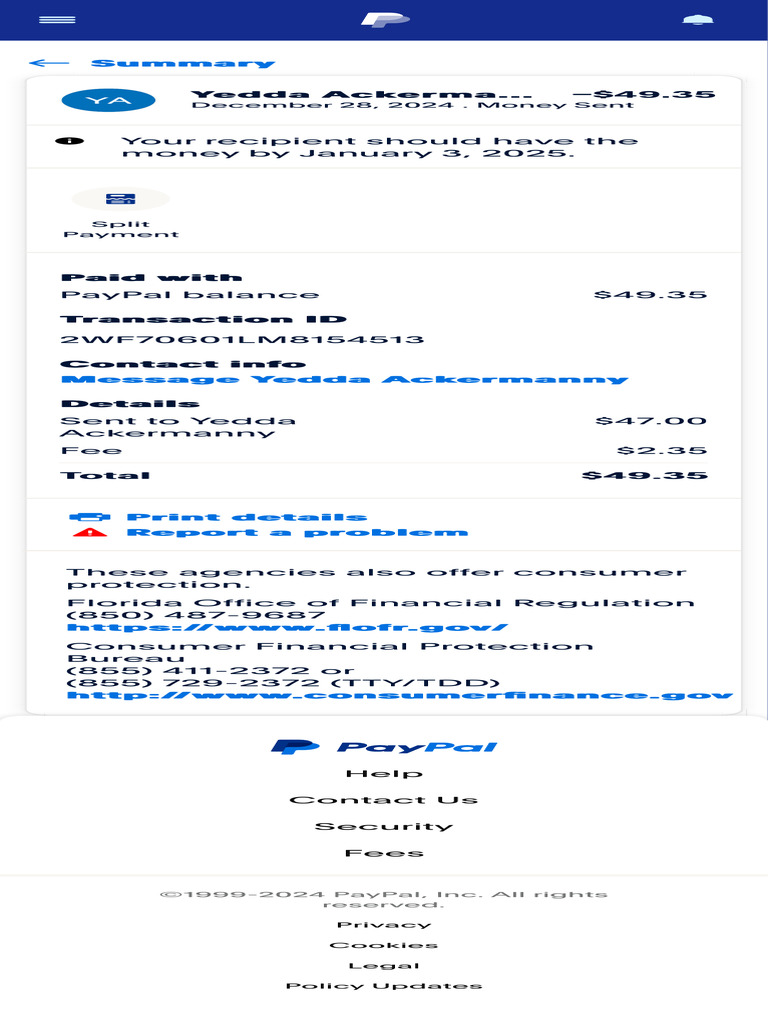 PayPal Transaction Details | PDF