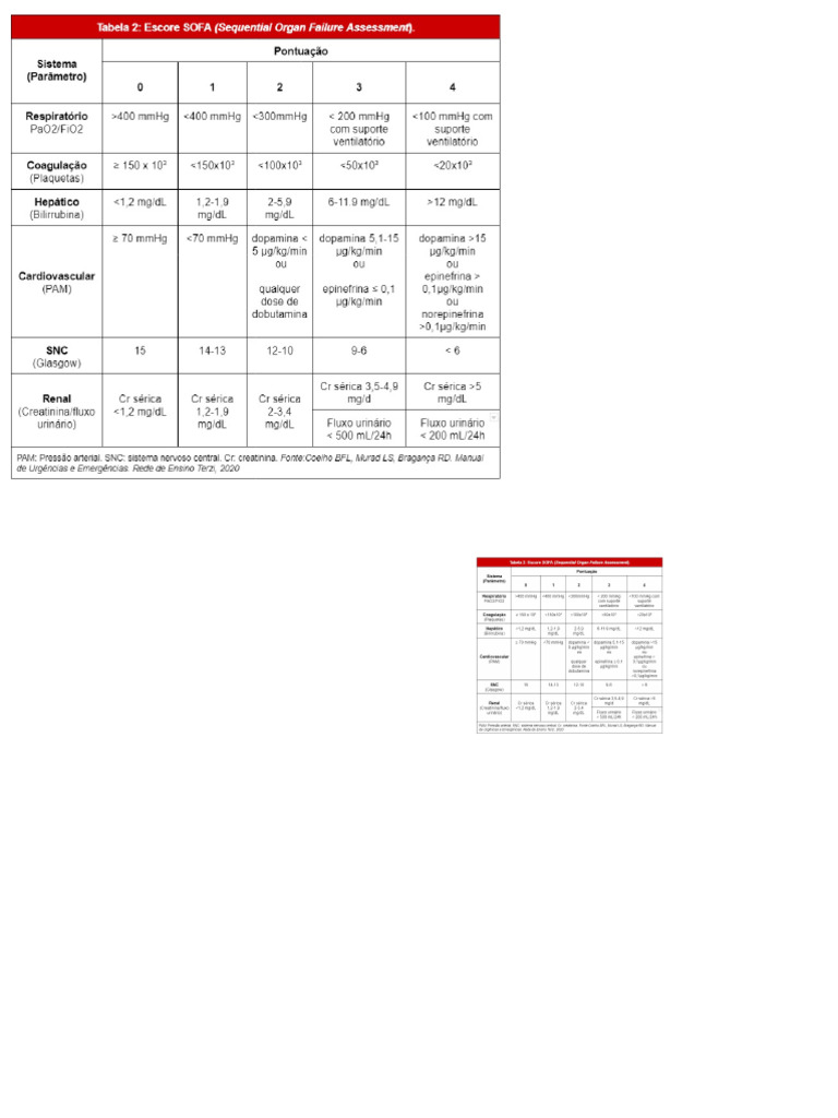 Caderno Sem Título 2 | PDF