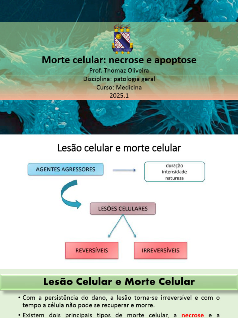 Morte Celular: Necrose e Apoptose | PDF | Necrose | Apoptose