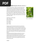 Download Mengkudu Mengkudu by Ayudita Widya Chintara SN90181346 doc pdf