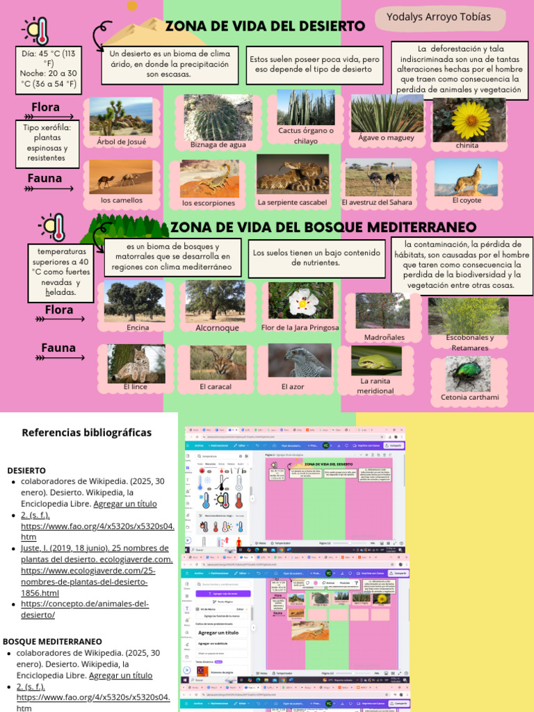 Bioma del Desierto: Flora y Fauna | PDF | Desierto | Geografía Física