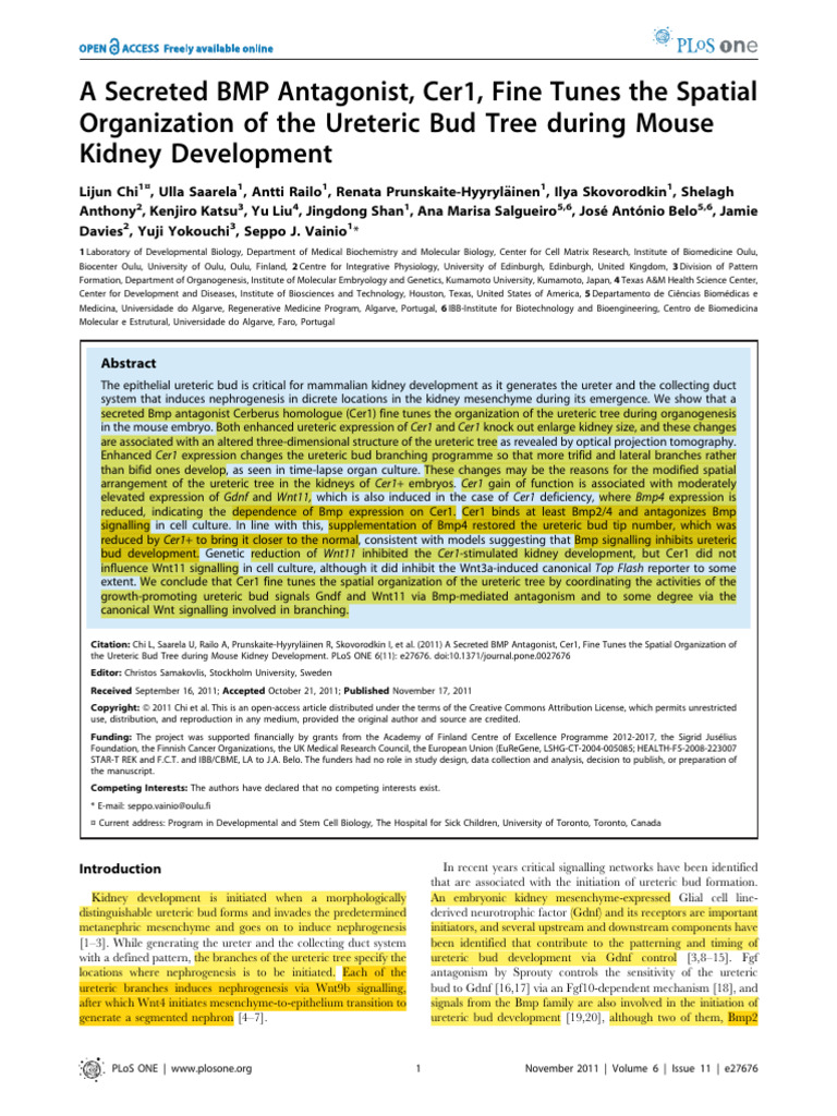 A Secreted BMP Antagonist, Cer1, Fine Tunes The Spatial Organization of ...
