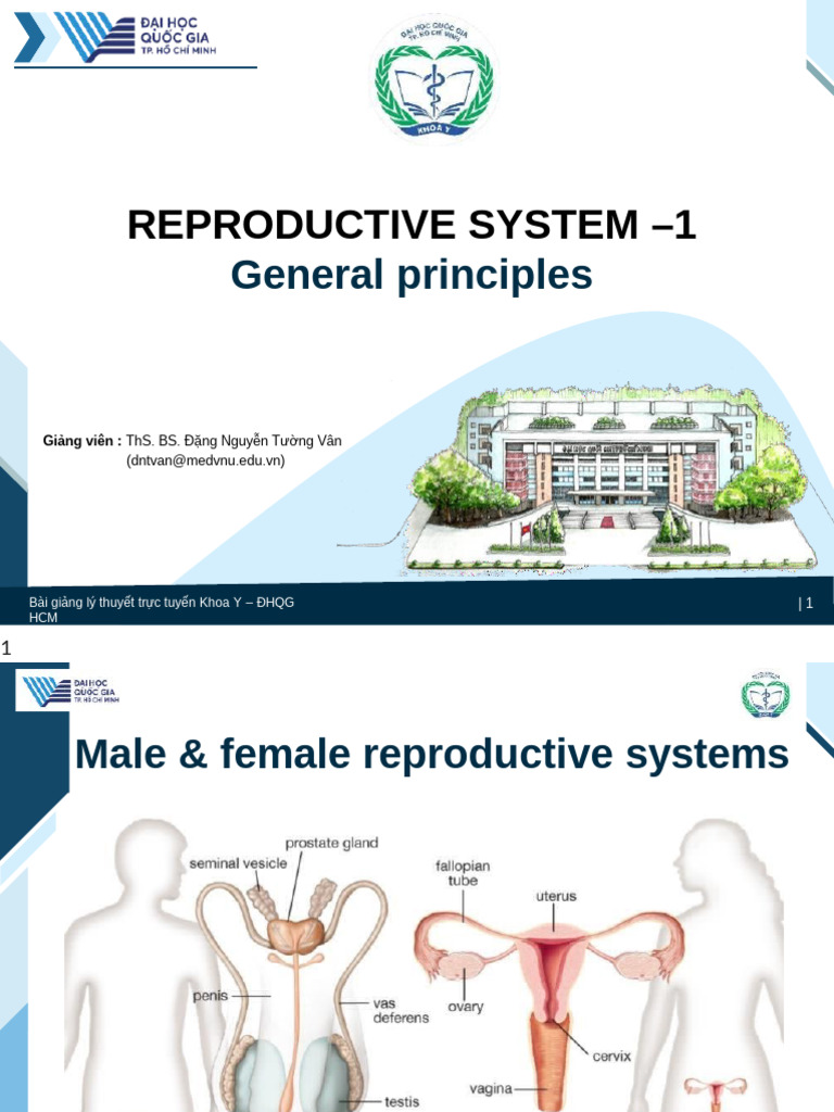 Reproductive System 1 - General Principles of Reproductive System | PDF