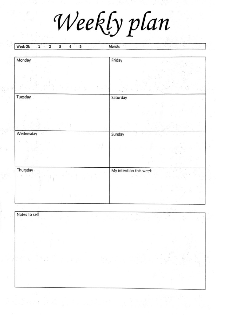 Weekly Plan | PDF