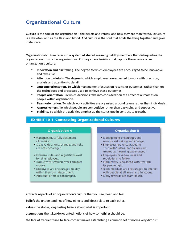 Understanding Organizational Culture Dynamics | PDF | Socialization ...