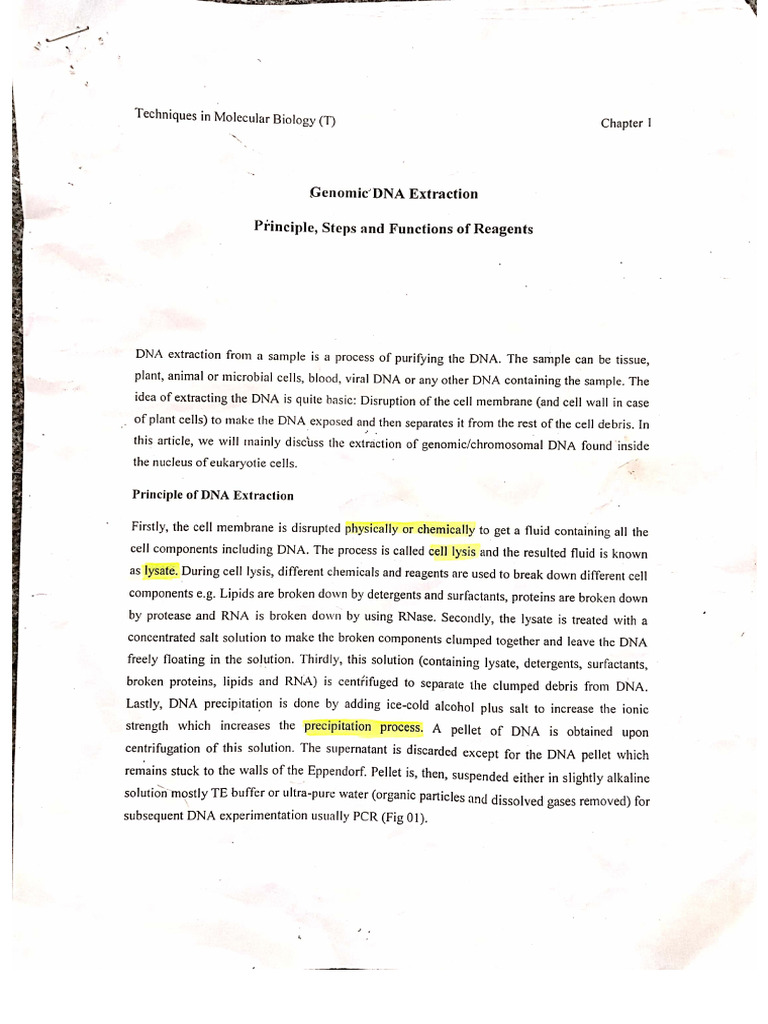 Genomic DNA Extraction | PDF