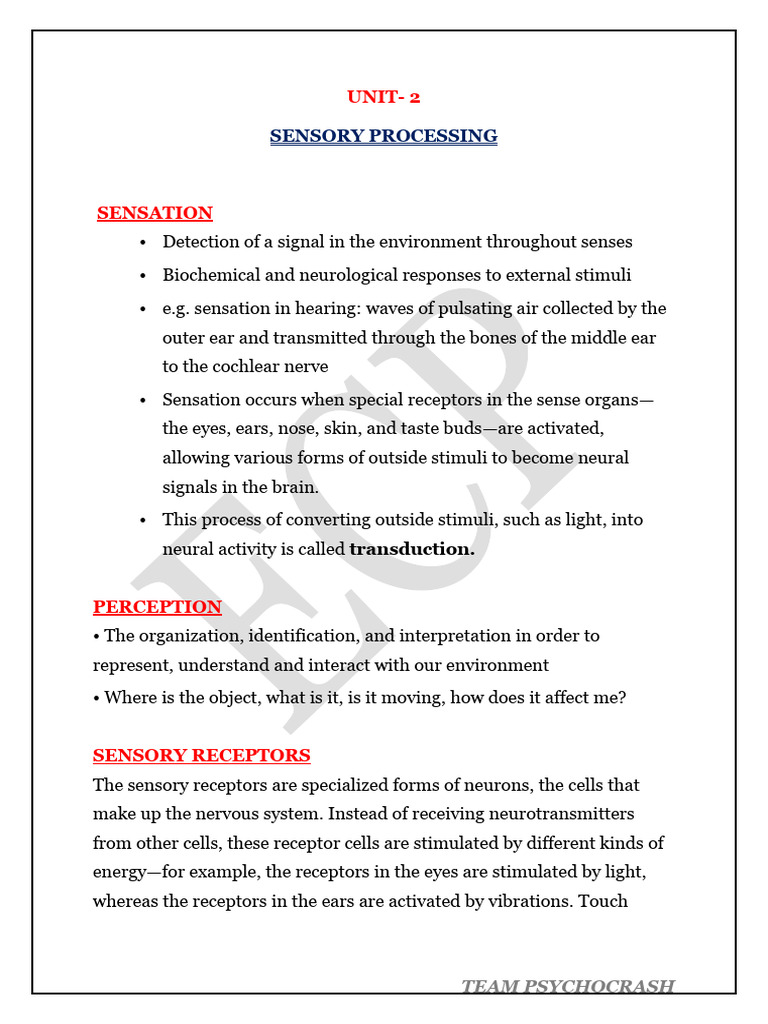 Sensory Processing: Sensation and Perception | PDF | Auditory System | Ear