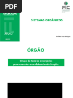Anatomia dos Sistemas Orgânicos Humanos | PDF | Corpo humano | Sistema ...