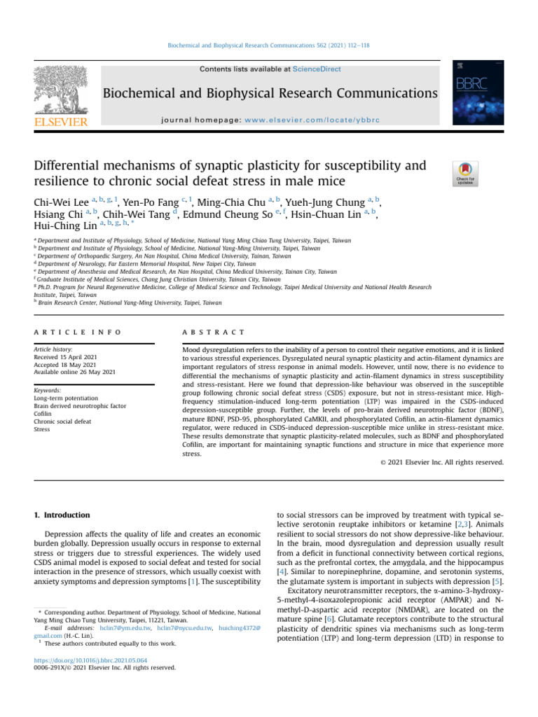 Synaptic Plasticity in Stress Resilience | PDF | Long Term Potentiation ...