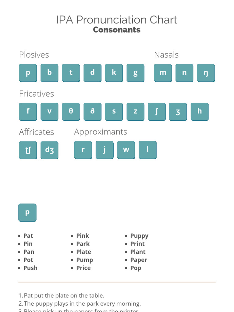IPA Consonant Sounds and Examples | PDF