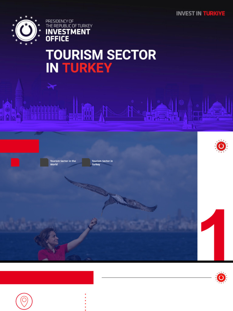 2019 International Tourism Overview | PDF | Tourism | Economies