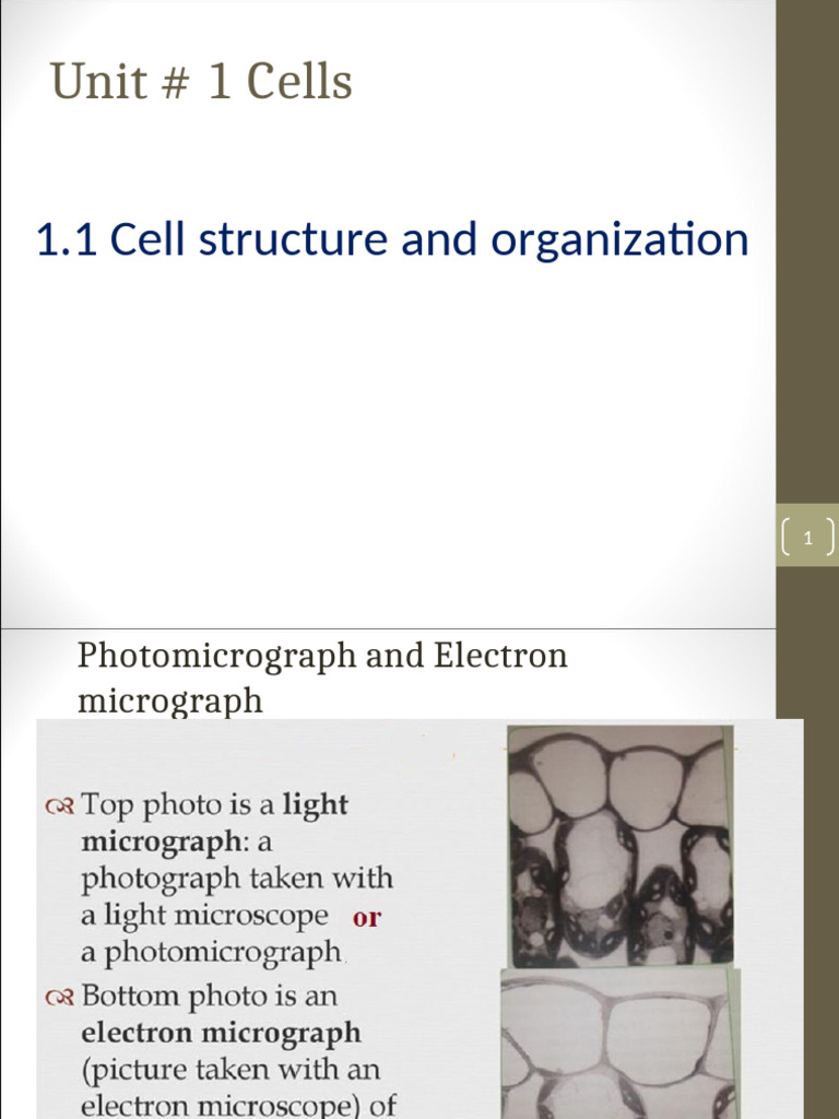 Unit # 1 Cell Structure and Function | PDF | Cell (Biology) | Chloroplast