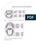 Oral Mucosa