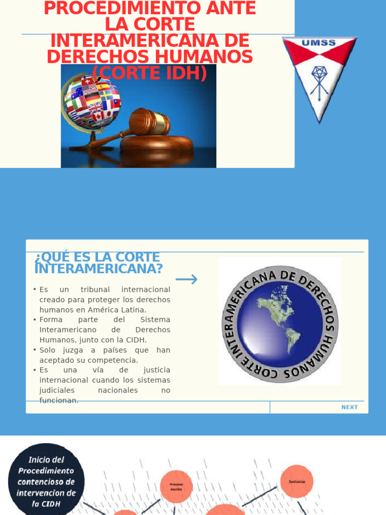Procedimiento Ante La Corte Interamericana de Derechos Humanos (Corte ...