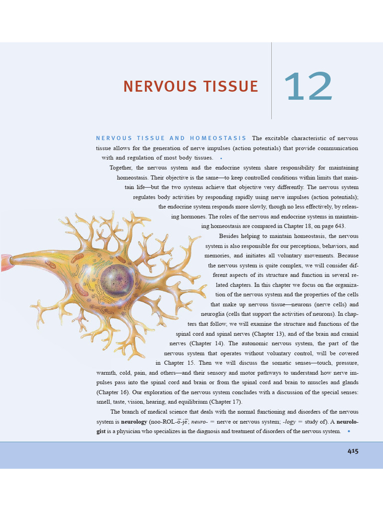 Understanding Nervous Tissue Functions | PDF | Axon | Neuron