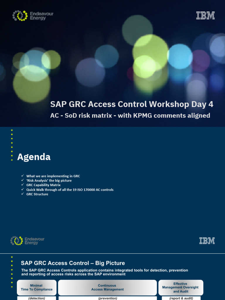 Day 4 - AC - SoD Risk Matrix - With KPMG Comments Aligned | PDF ...