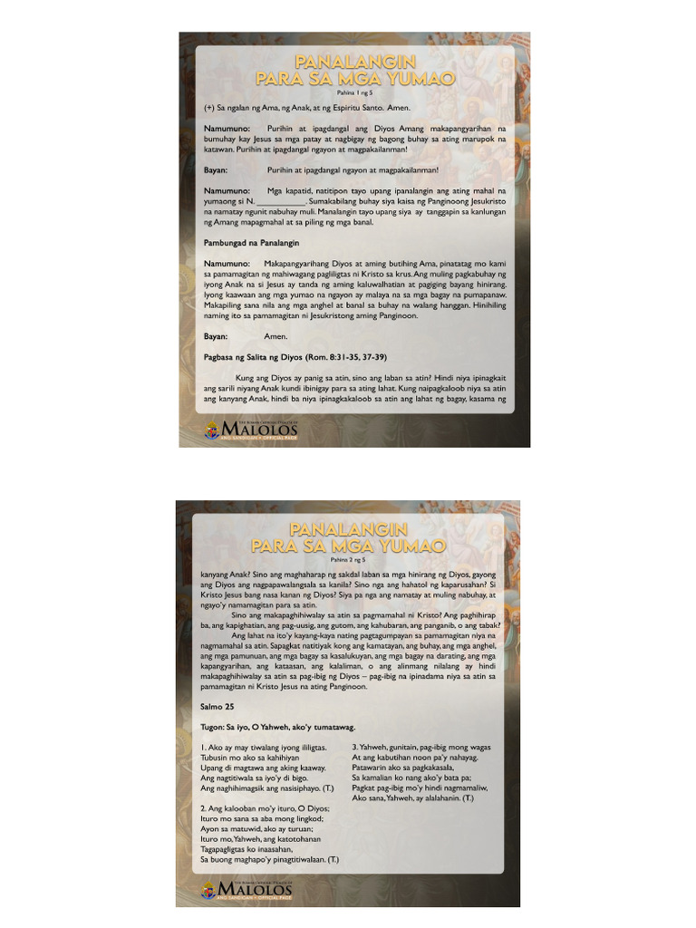 Minimalist A4 Stationery Paper Document | PDF