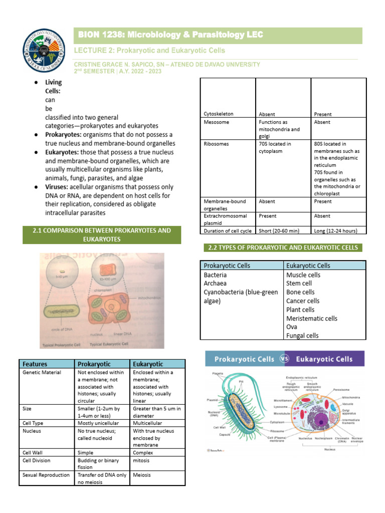 Prokaryotes vs Eukaryotes Overview | PDF | Cell (Biology) | Prokaryote