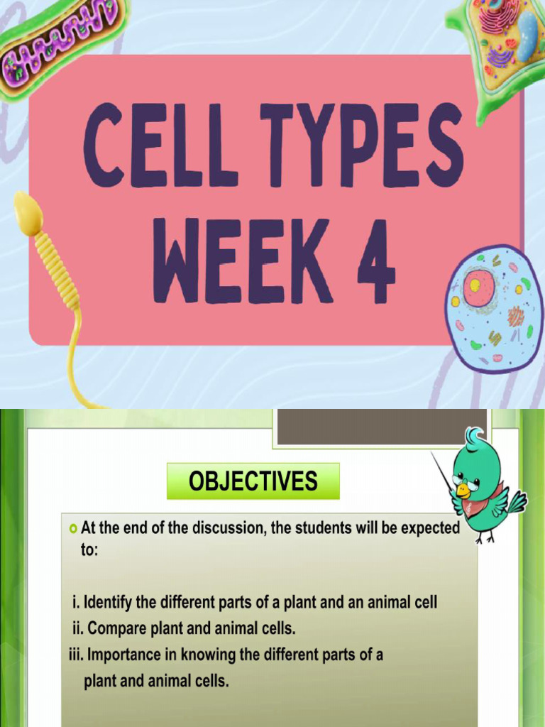Week 4 - Cell Types | PDF