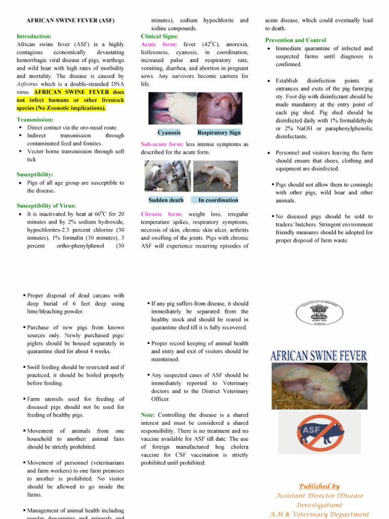Asf English | PDF