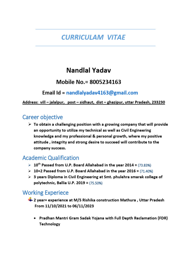 Local Guide Program CV Overview | PDF