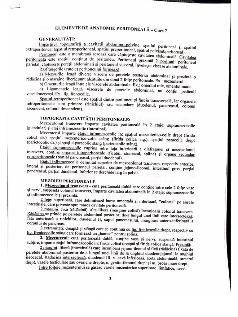Curs 7 | PDF