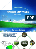 Presentacion Guayana UBV Modificada y Final