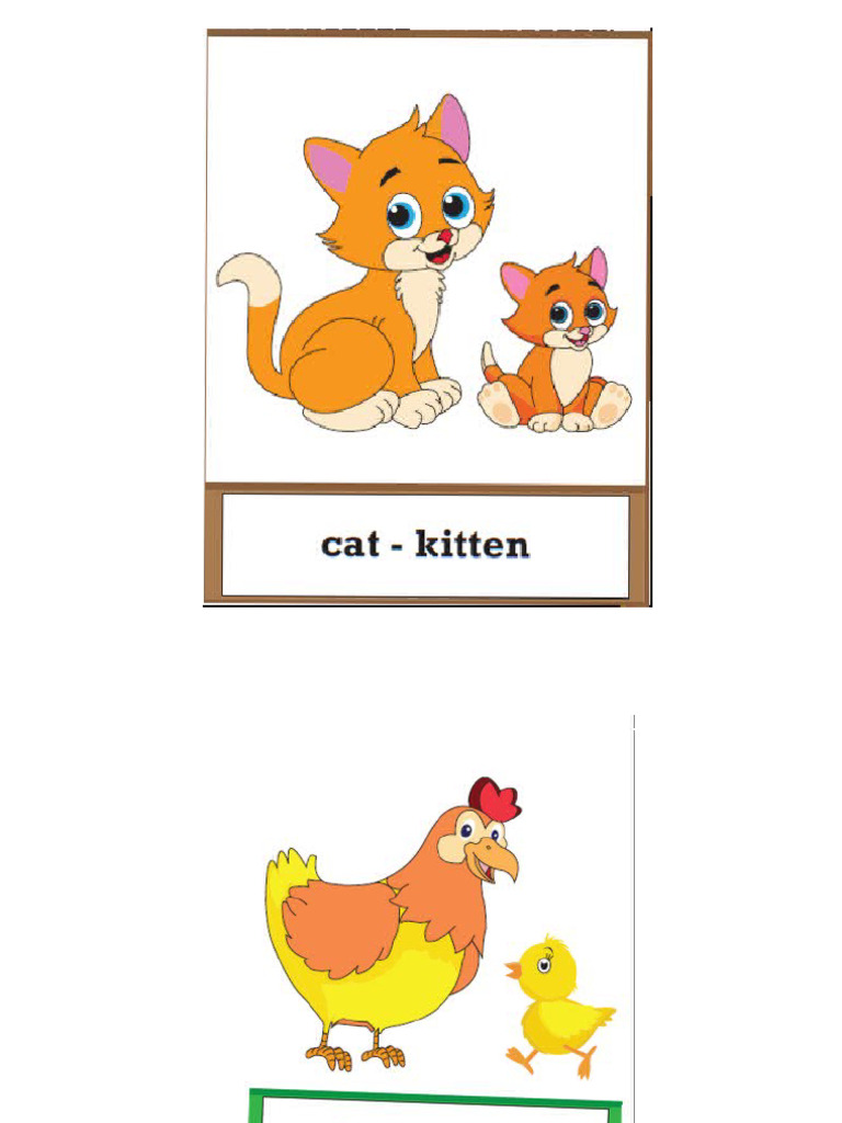 Animal Offspring Names Explained | PDF