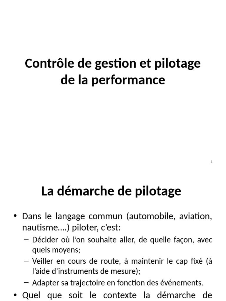 Pilotage de la performance en entreprise | PDF | Business | Économie d ...