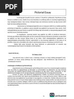 Pictorial Essay | PDF