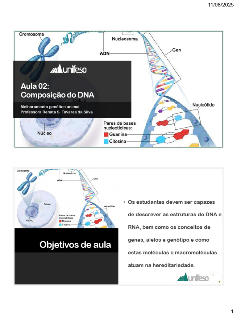 Composição do DNA e Genética Animal | PDF | Gene | DNA