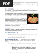 Partes de La Semilla y Sus Funciones | PDF | Semilla | Germinación