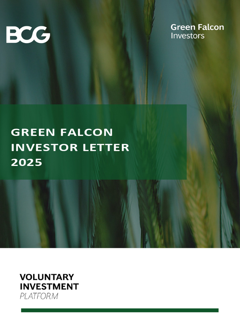 2025 Annual Investor Letter | PDF | Private Equity | Investing