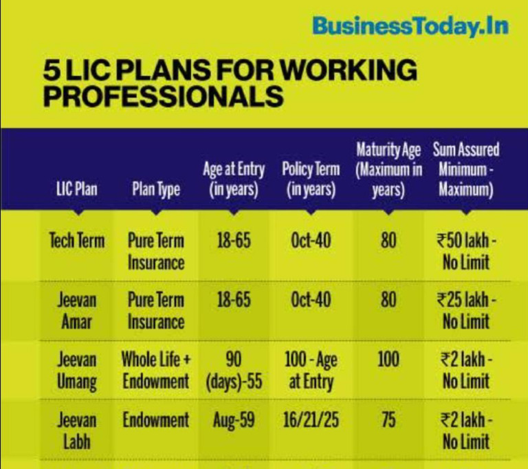 Top LIC Plans for Working Professionals | PDF
