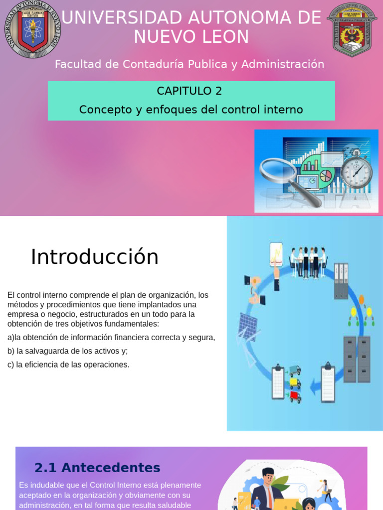 Antecedentes del Control Interno | PDF | Contabilidad | Presupuesto