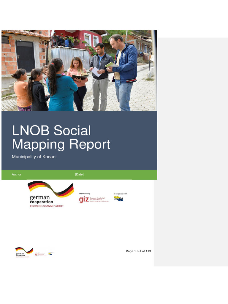Kocani LNOB Social Mapping Report | PDF | Accessibility | Disability