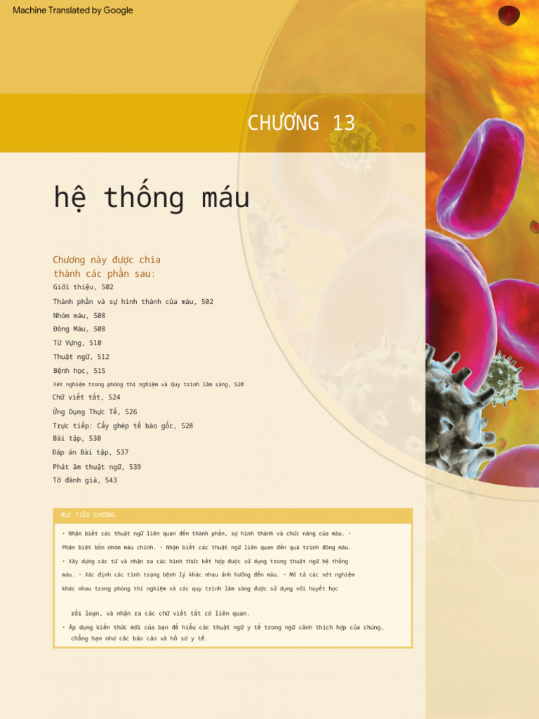 Mở Chapter 13 (Dịch) PDF | PDF