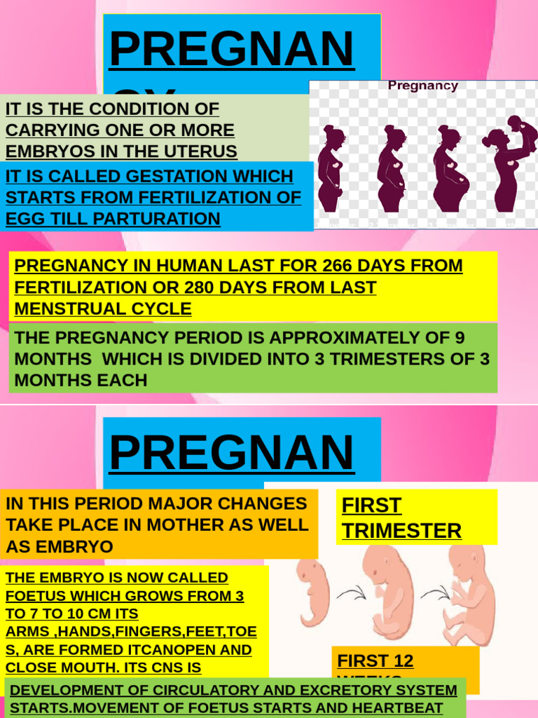 Pregnancy, Parturation 16thjuly 2020 Complete | PDF | Birth Control ...