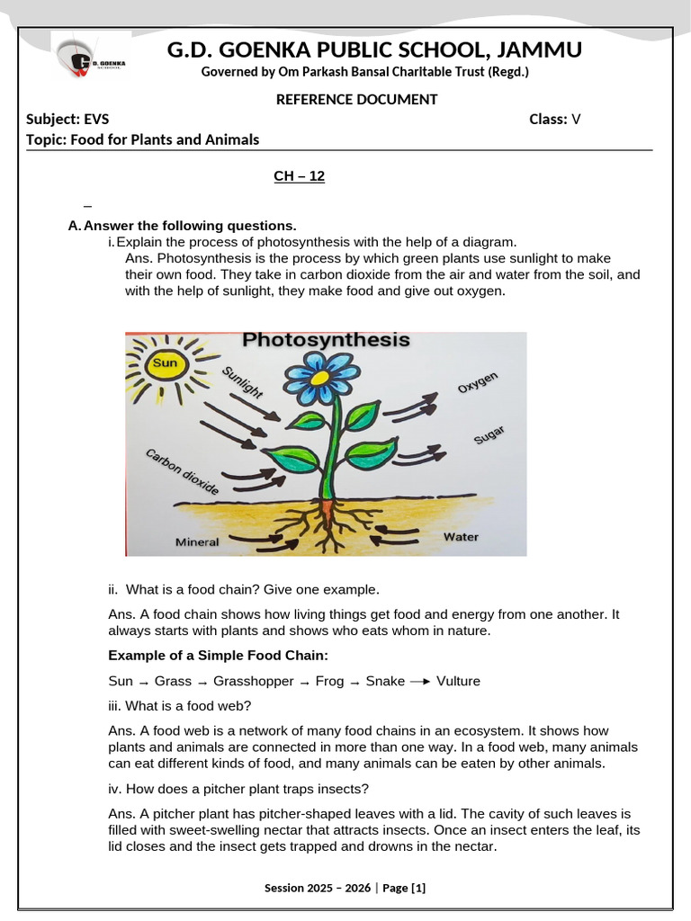 Class V EVS Ref. Doc. Food For Plants and Animals | PDF | Plants | Foods
