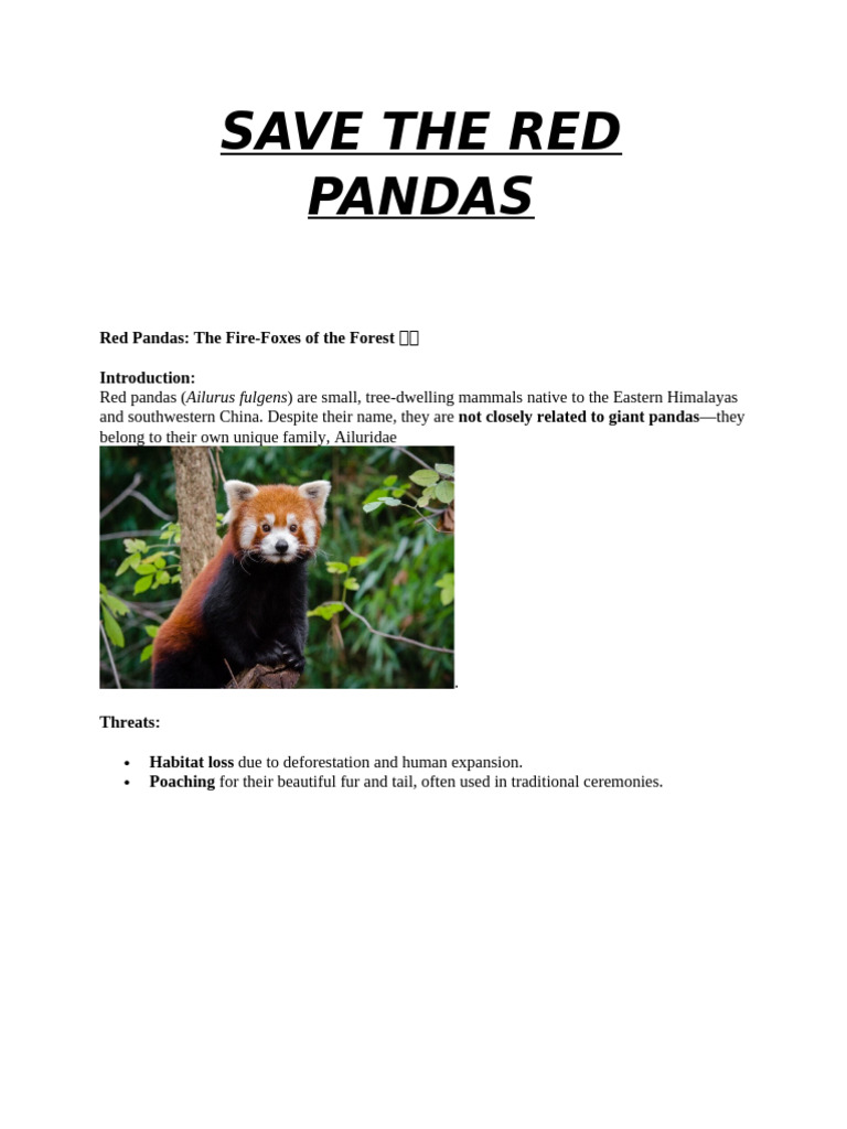 Saving Red Pandas from Extinction | PDF